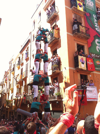 SpSp copia