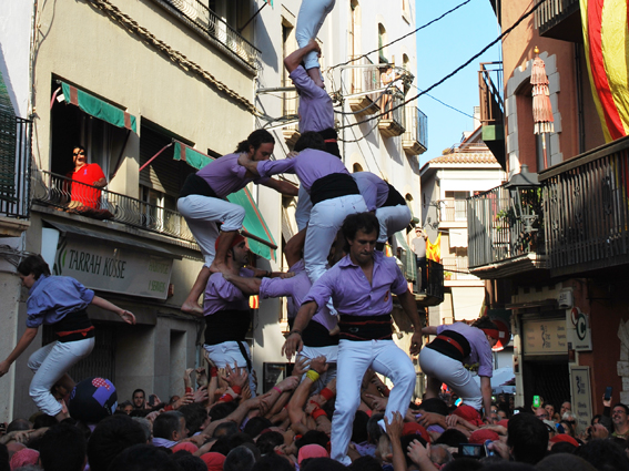 El 3de8 amb agulla, delicatessen poc sovintejat