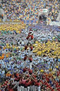 Td8_concurs copia