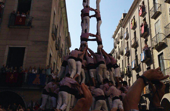 Quines colles cauen menys?