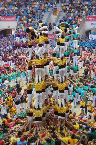 El 9de7, escola de castells a tots nivells