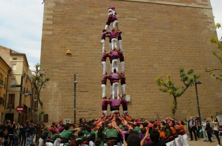 Primera bona collita de l’any