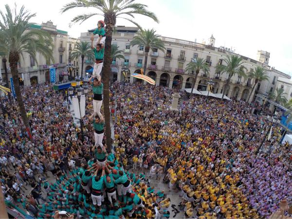 Manilles verdes i Vila-seca, plaça de 9
