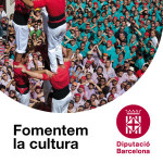 1anunci-1969-2013-Castells-bàner-300x300px
