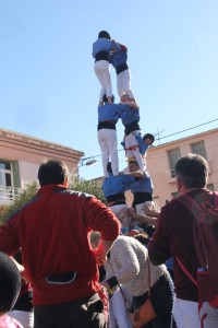 catnord2de6AV