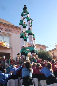 catnord4de7CR