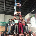2de8f saballuts