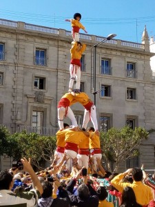 alta5conlloga