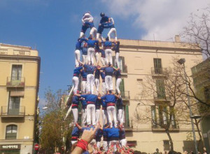 BARDALER