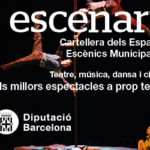 2713-20805 Bàner Subvencions Cultura 300x250px, castells