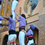 5de7Cornella