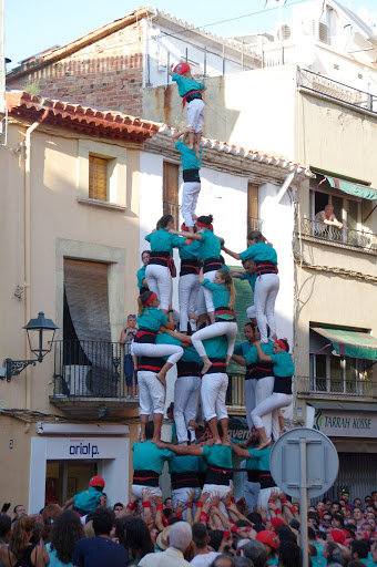 7de8a verds