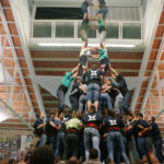 AssaigTde9Verds2