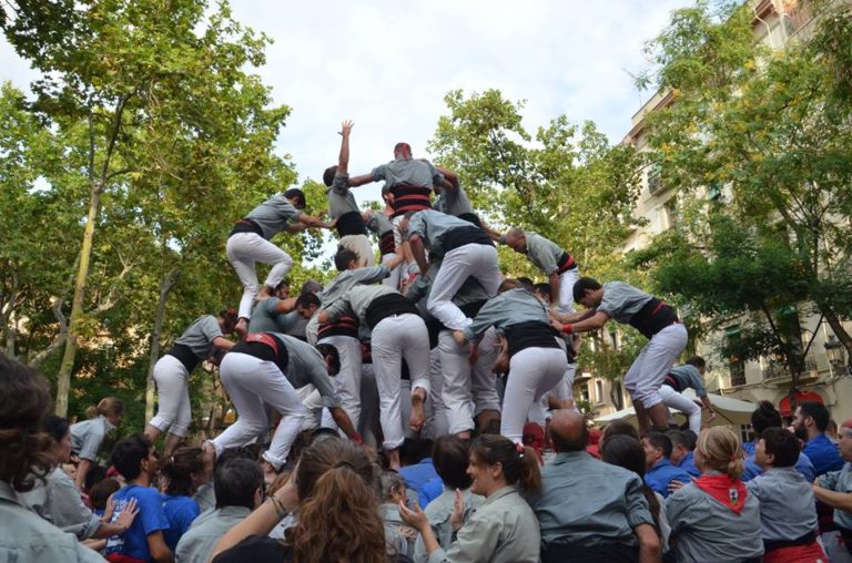 L’elefant desperta