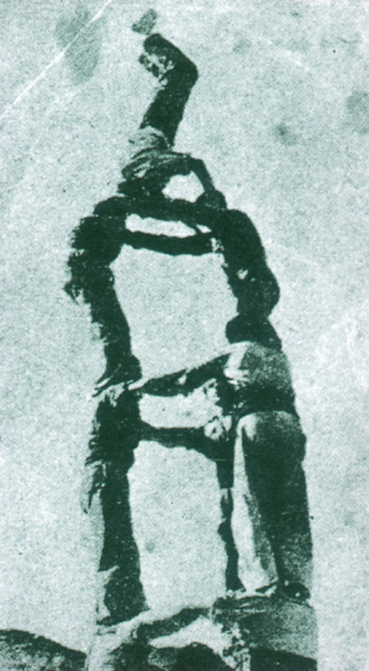 Figuereta