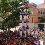 Marrecs7de8