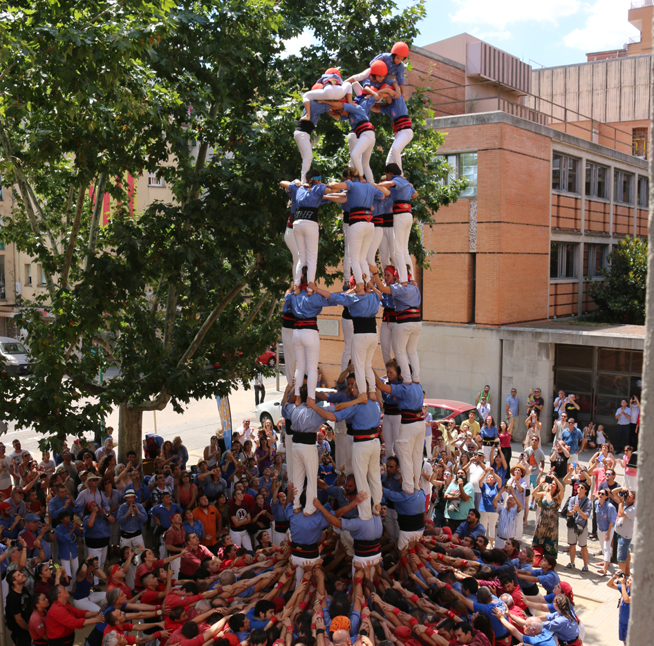 Marrecs7de8