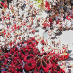 Nens4de8¡a