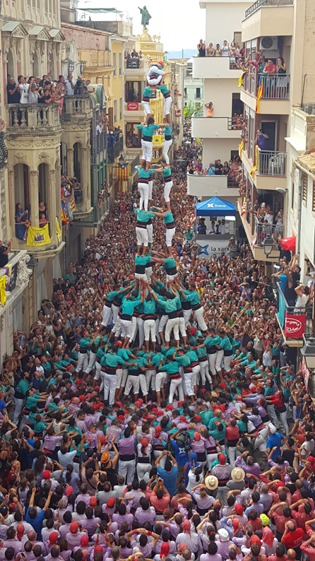 3de10fmArboç