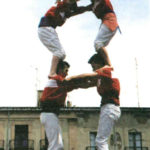 2de6xicots