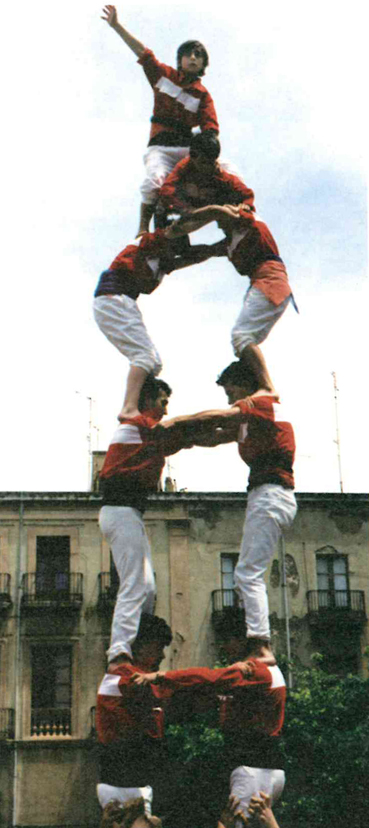 2de6xicots