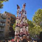 minyons9de8