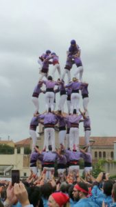cornella7de7