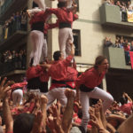 vella15