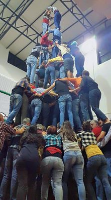 assaigtde9fm2015