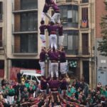 161106picapolls4de7