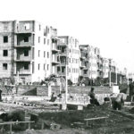 1951