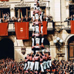 1981