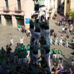 Mollet4de7