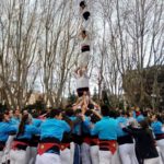pde4gatos