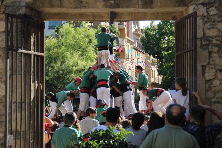 Marrecs i gausacs: vides en paral·lel