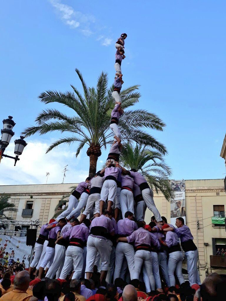 El pilar més capriciós: angúnies i èxits