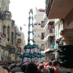 verds 3de10 arboç