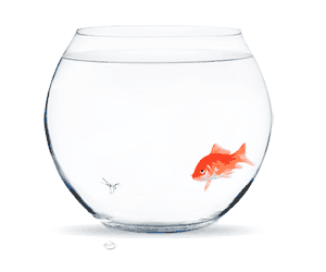 APPEC_GIF_300X250