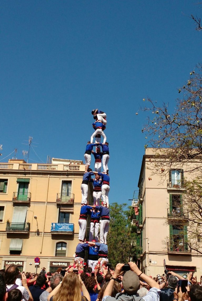 Construccions de 8 a la tornada de vacances