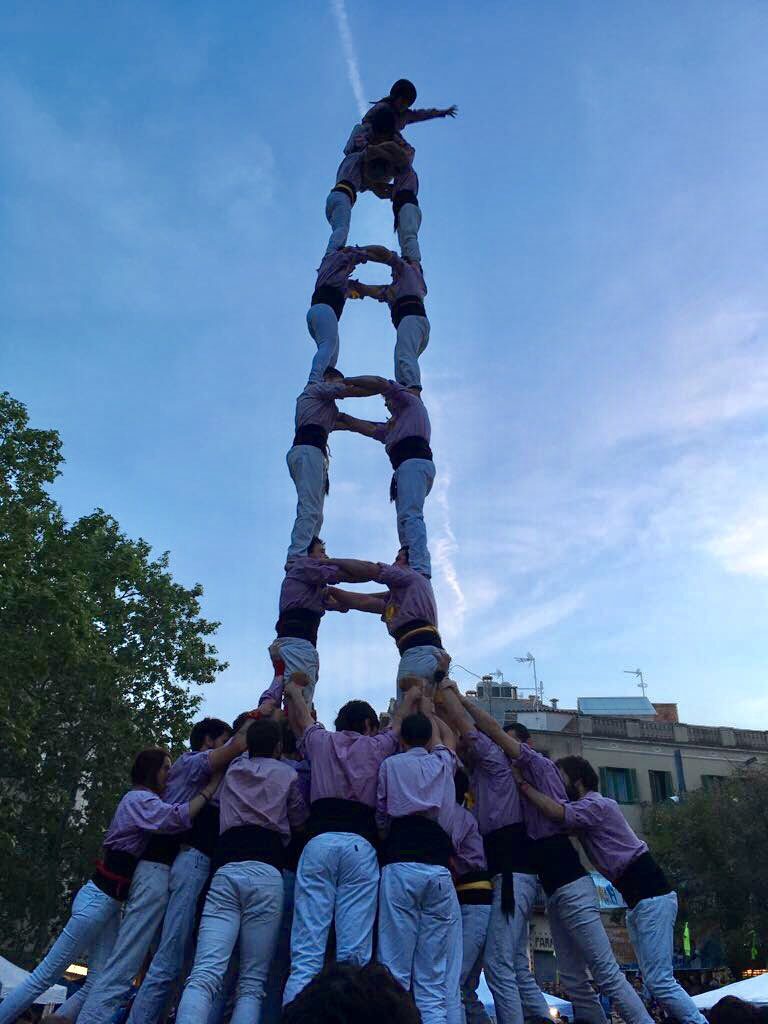 Dia de Sant Jordi amb folre malva