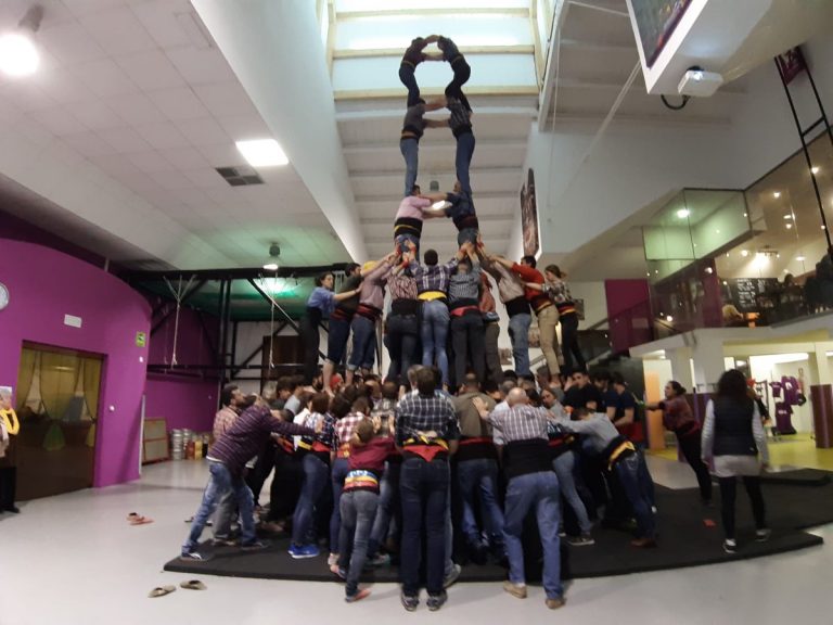 Estrenes de 8 i opcions de torre folrada