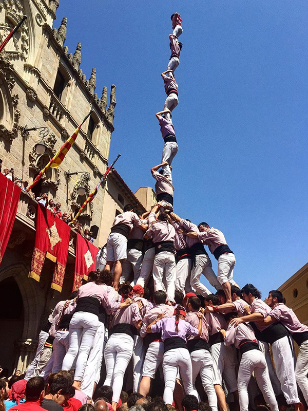 40è aniversari malva amb manilles