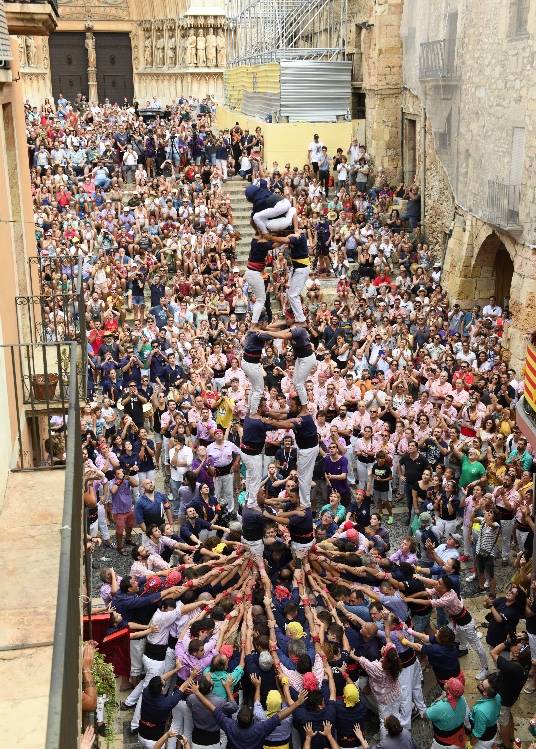 Les colles de gamma alta i mitjana de 7