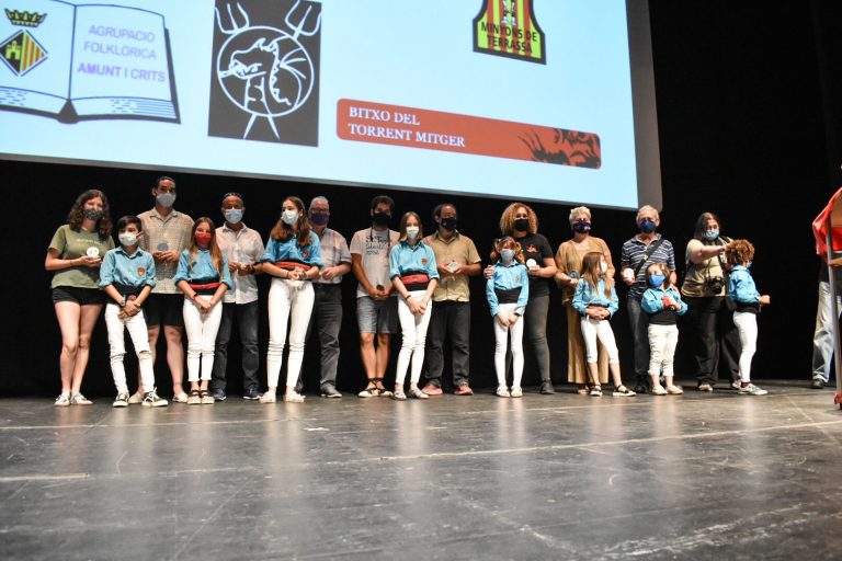 Acte institucional del 40è aniversari blau turquesa