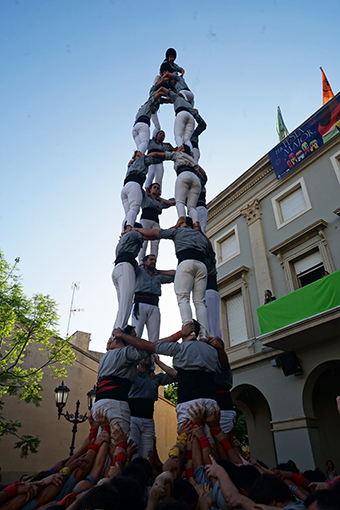 Els borinots es queden a mitges a Vilassar