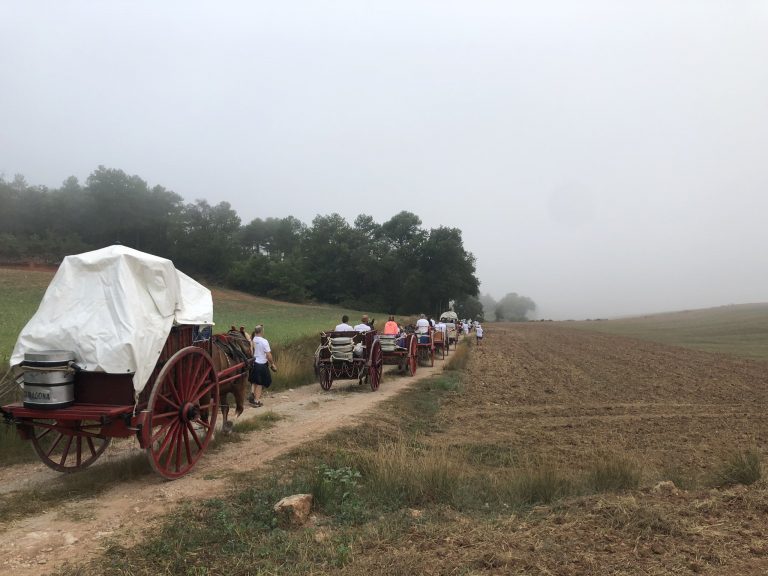 Dimecres 17, 13h. Els Xiquets del Serrallo baixen l’aigua de Sant Magí.