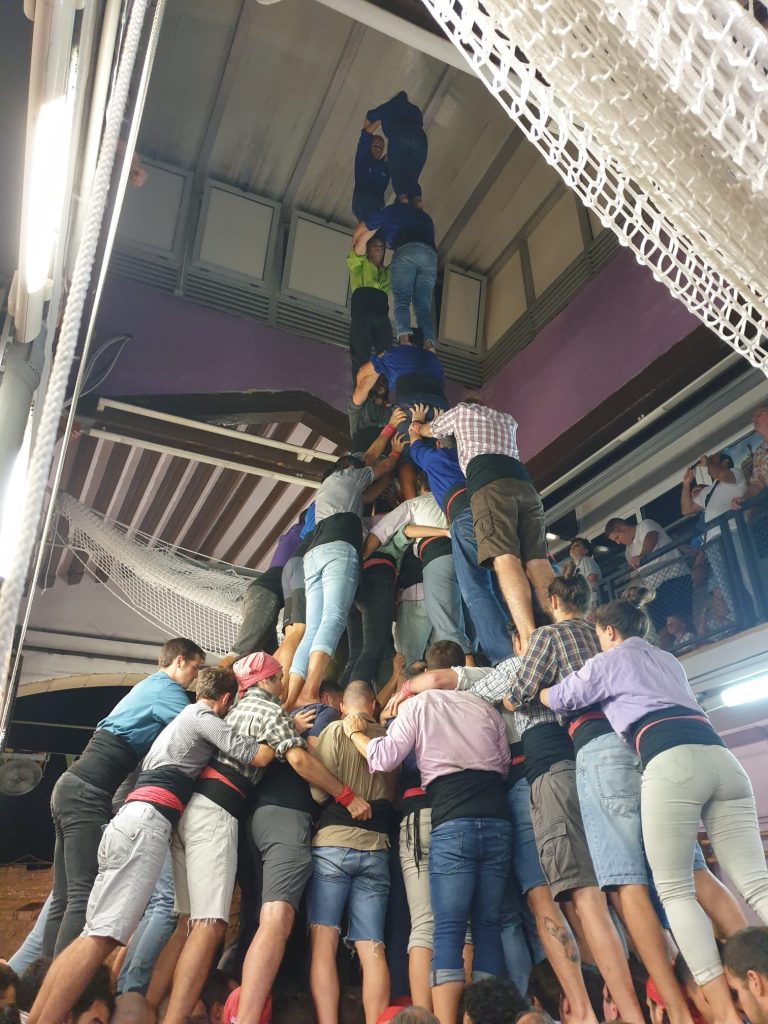 Santa Tecla olora novetats