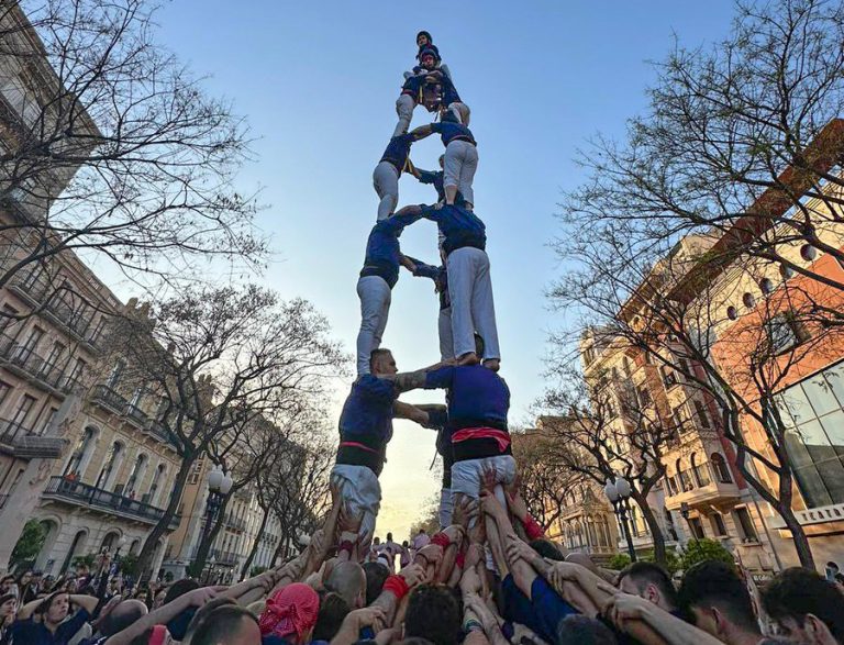Al Serrallo avancen terminis