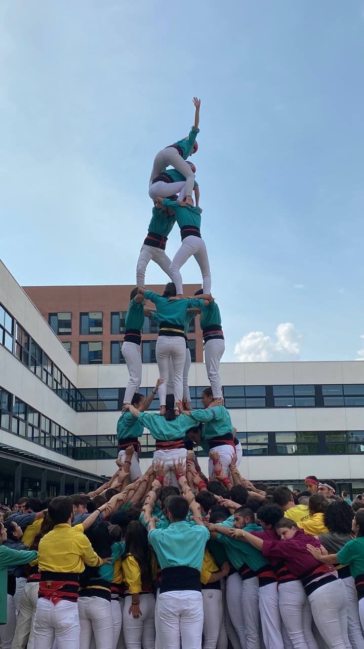 Els bàsics de 7, sostre del comiat universitari