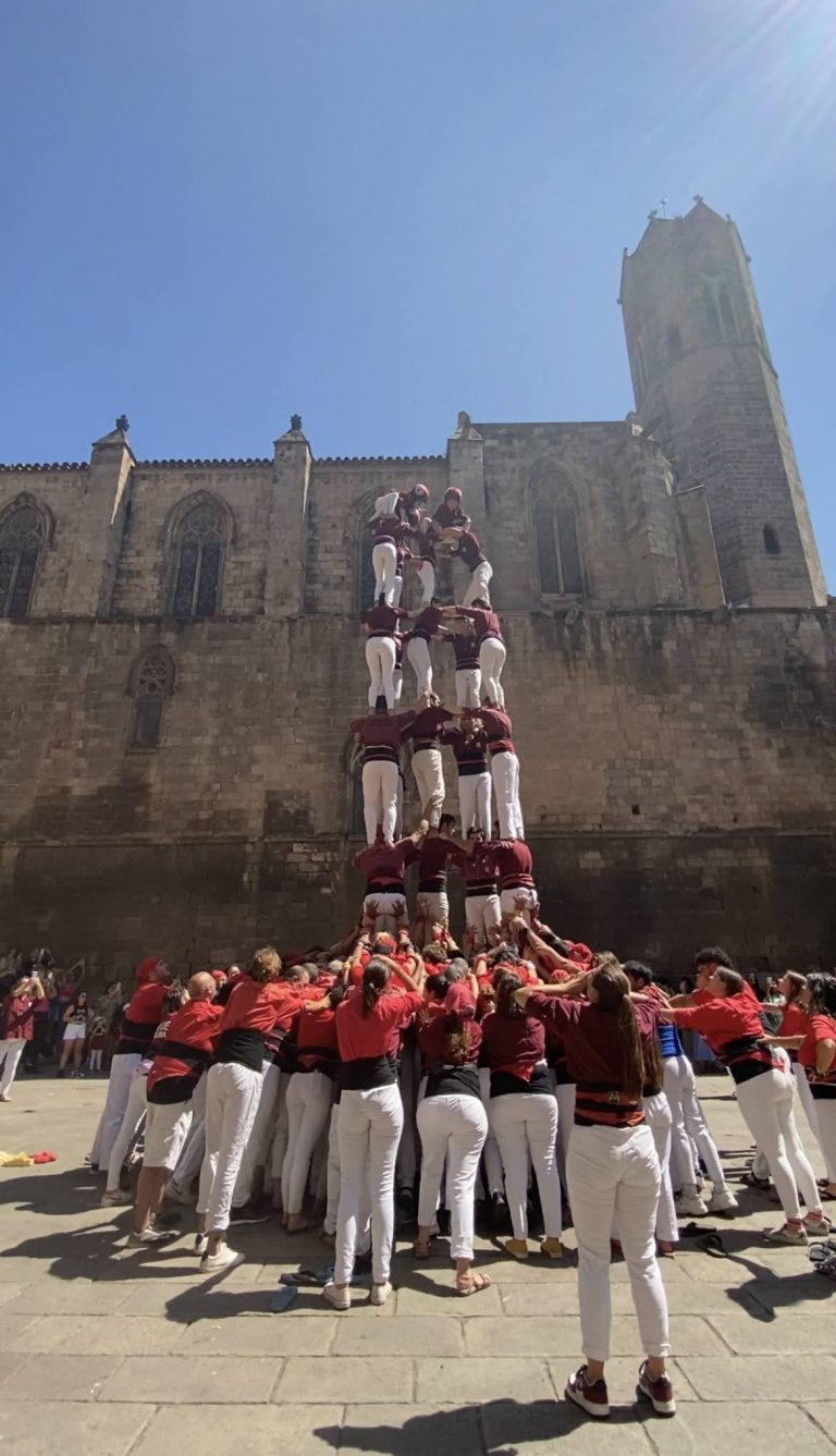 Il·lusió de color grana